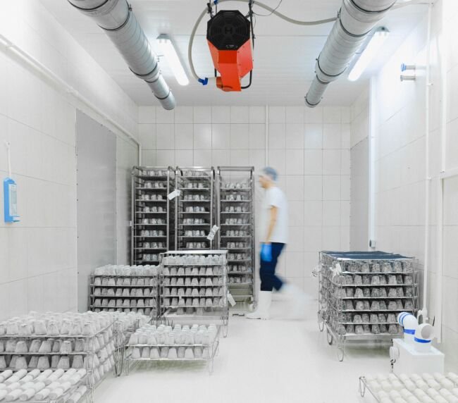 Cold Storage